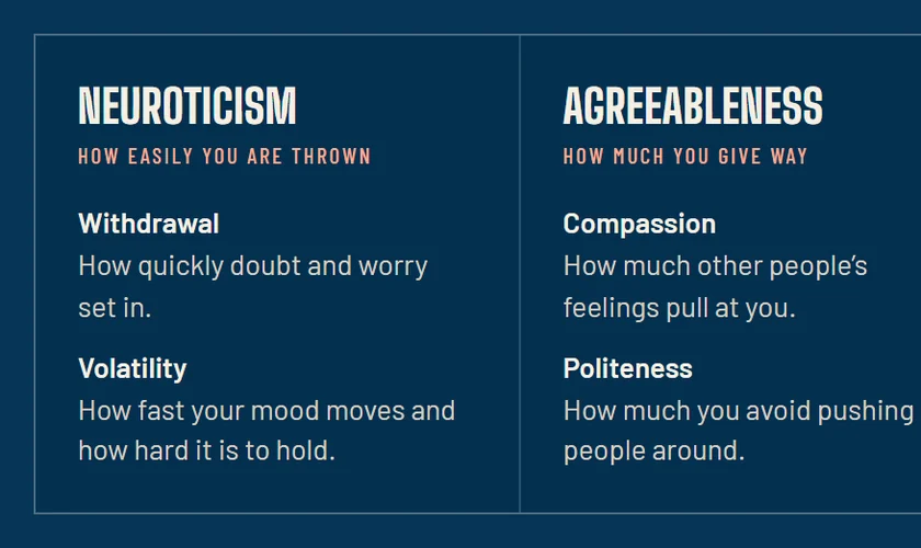 The five traits the twenty questions measure